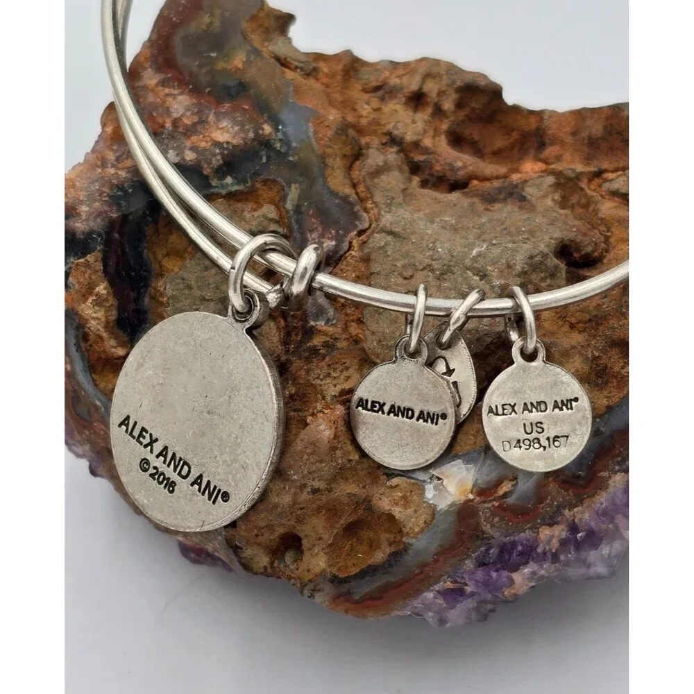 Alex and Ani Silver Tone Blackhawk Charm Bangle Bracelet Designer Jewelry